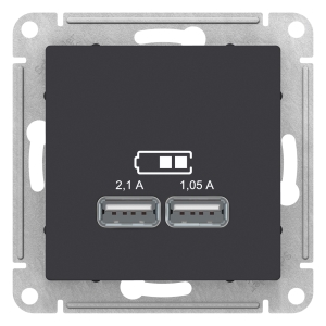 Розетка USB 2-местная, без рамки, AtlasDesign карбон